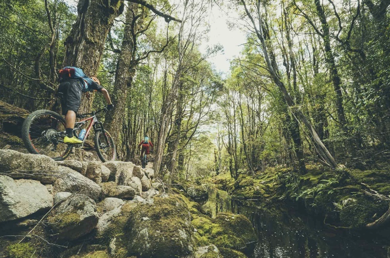 Just You and Your Mountain Bike